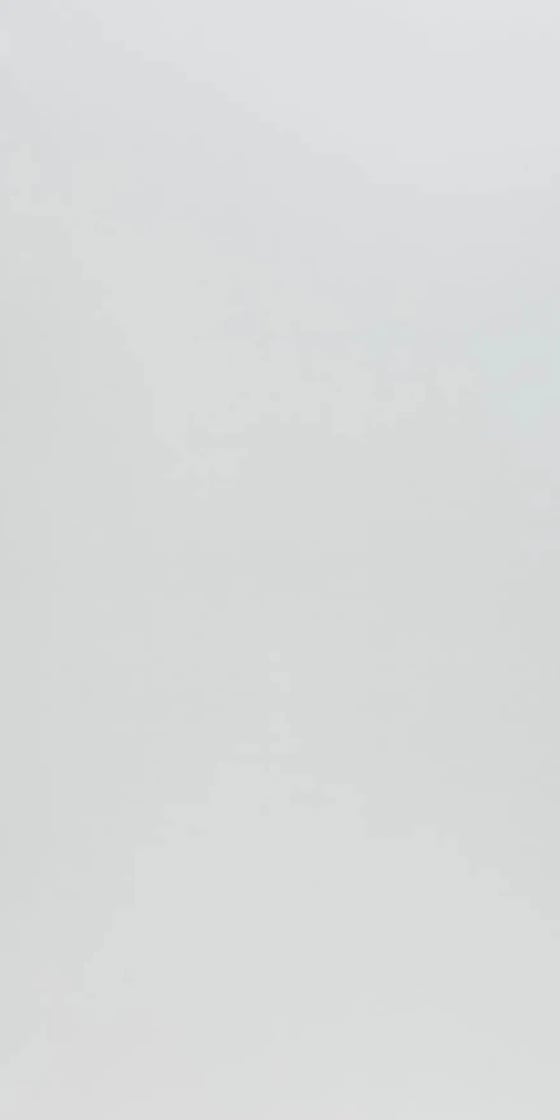 Ván Melamine S6 10101T