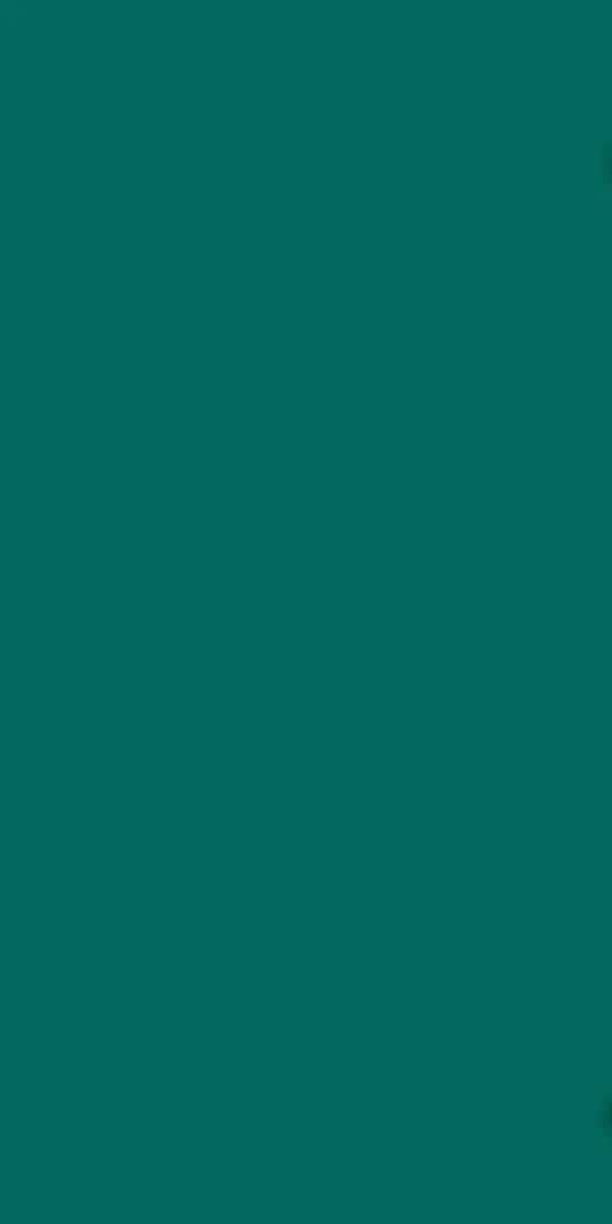Ván Melamine S9 10213T