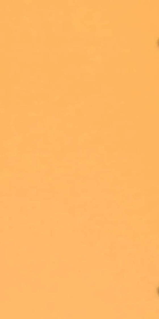 Ván Melamine S9 10215T
