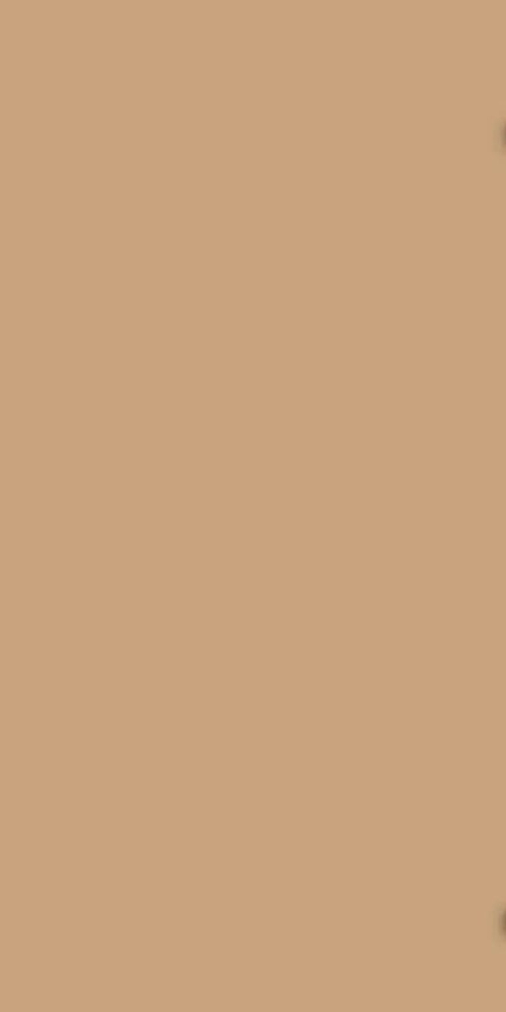 Ván Melamine S9 10228T
