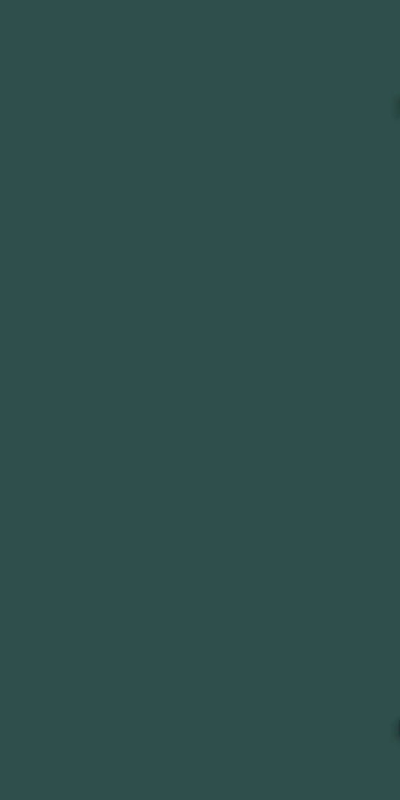 Ván Melamine S9 10231T