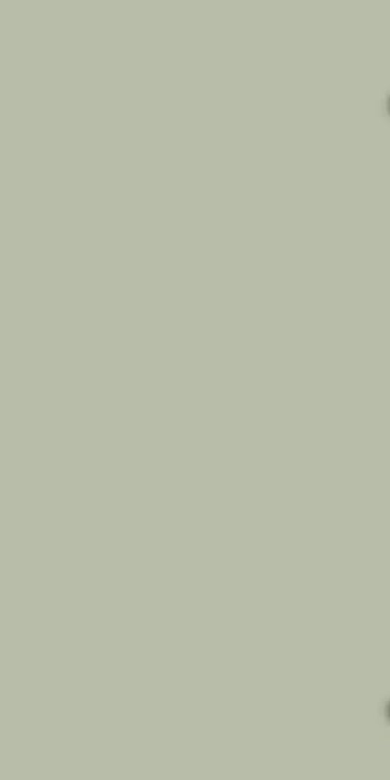 Ván Melamine S9 10234T