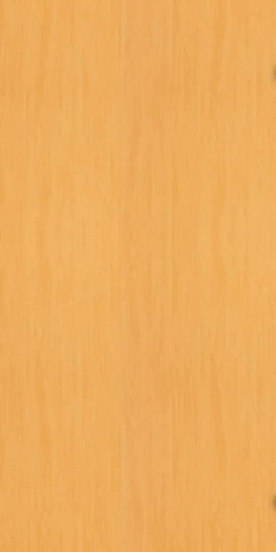 Ván Melamine S9 27216SH
