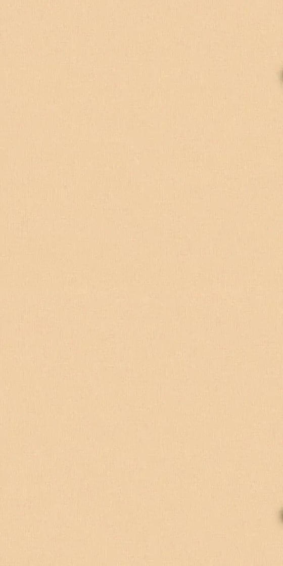 Ván Melamine S9 50990FR