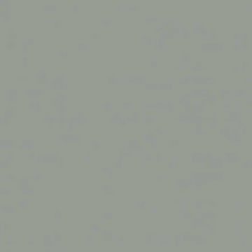 Ván nhựa Đức Quân S11