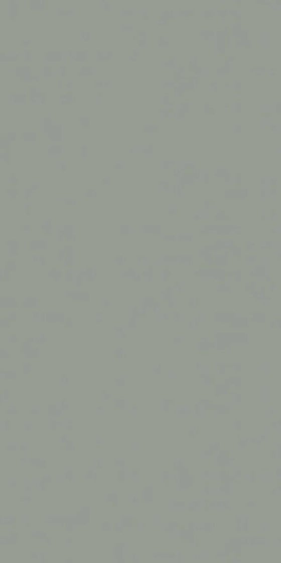Ván nhựa Đức Quân S11